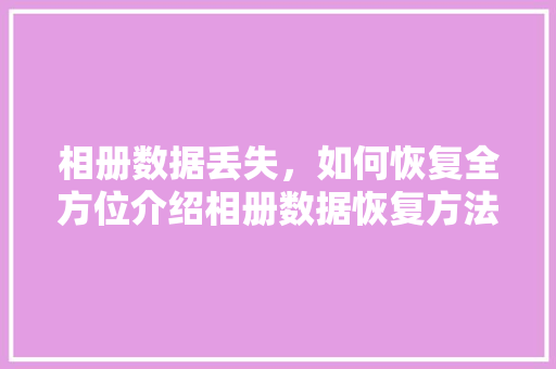 相册数据丢失，如何恢复全方位介绍相册数据恢复方法