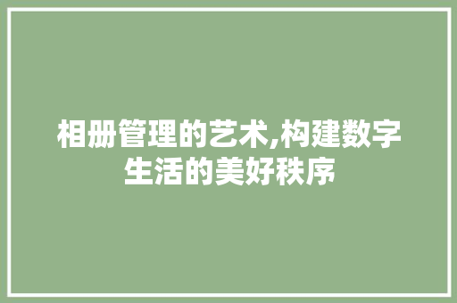 相册管理的艺术,构建数字生活的美好秩序
