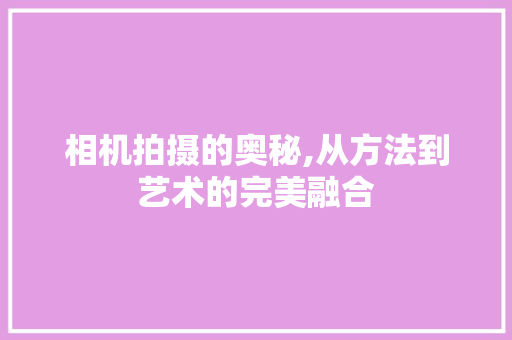 相机拍摄的奥秘,从方法到艺术的完美融合