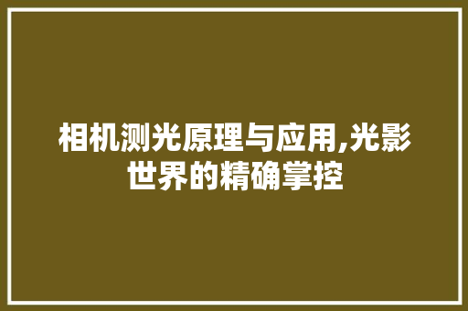 相机测光原理与应用,光影世界的精确掌控 相机测光原理与应用,光影世界的精确掌控
