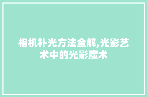 相机补光方法全解,光影艺术中的光影魔术 相机补光方法全解,光影艺术中的光影魔术