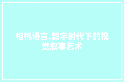 相机语言,数字时代下的视觉叙事艺术 相机语言,数字时代下的视觉叙事艺术