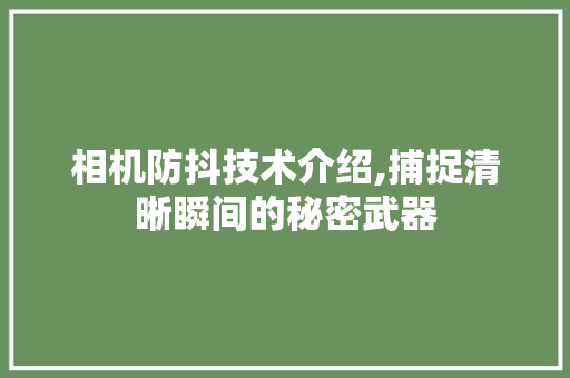 相机防抖技术介绍,捕捉清晰瞬间的秘密武器
