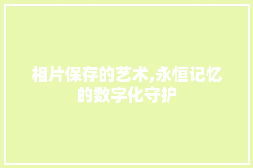 相片保存的艺术,永恒记忆的数字化守护