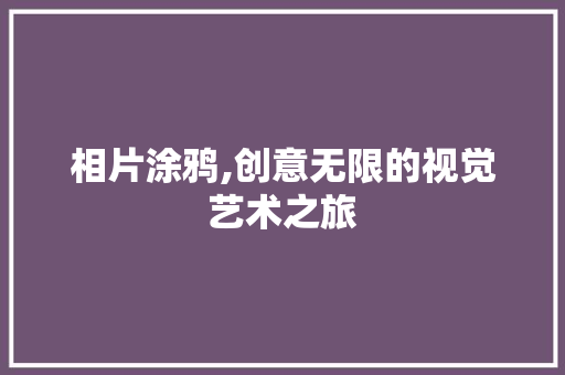 相片涂鸦,创意无限的视觉艺术之旅