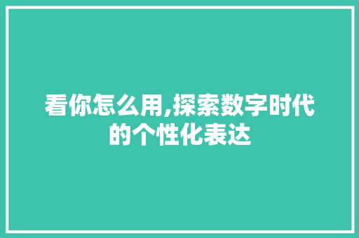 看你怎么用,探索数字时代的个性化表达