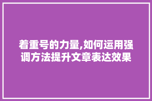 着重号的力量,如何运用强调方法提升文章表达效果