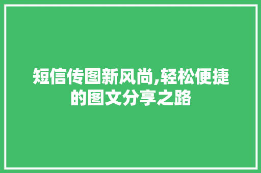 短信传图新风尚,轻松便捷的图文分享之路