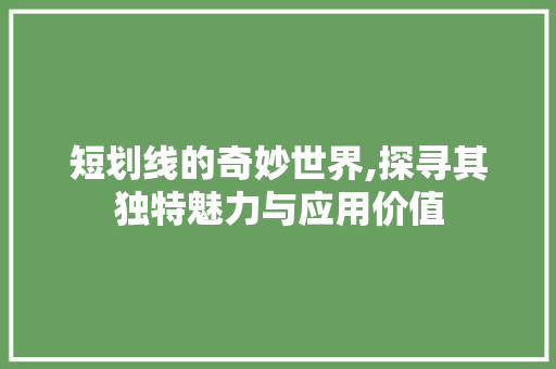 短划线的奇妙世界,探寻其独特魅力与应用价值