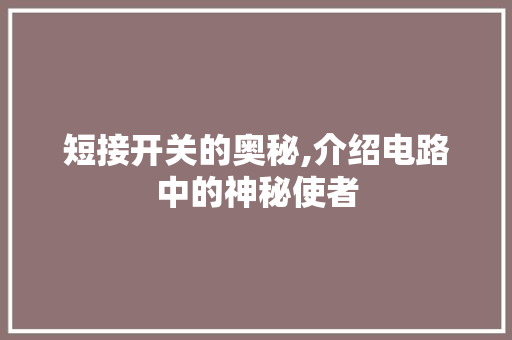 短接开关的奥秘,介绍电路中的神秘使者