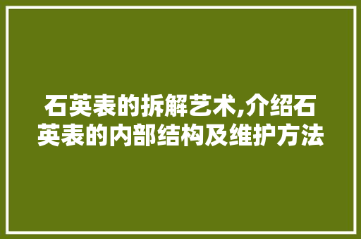 石英表的拆解艺术,介绍石英表的内部结构及维护方法