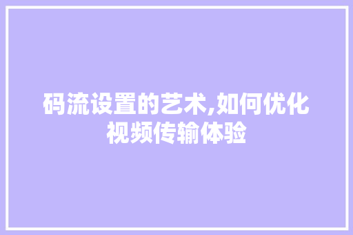 码流设置的艺术,如何优化视频传输体验 电脑故障维修