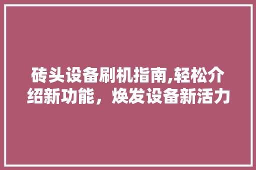 砖头设备刷机指南,轻松介绍新功能，焕发设备新活力