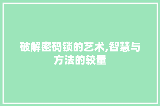 破解密码锁的艺术,智慧与方法的较量