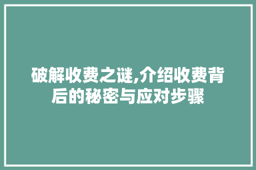 破解收费之谜,介绍收费背后的秘密与应对步骤