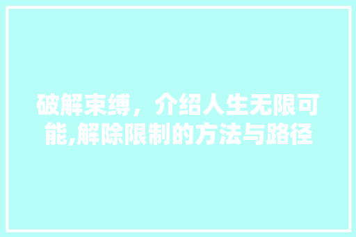 破解束缚，介绍人生无限可能,解除限制的方法与路径 电脑基础