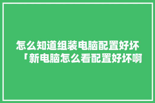 怎么知道组装电脑配置好坏「新电脑怎么看配置好坏啊」 电脑配置 怎么知道组装电脑配置好坏「新电脑怎么看配置好坏啊」 怎么知道组装电脑配置好坏「新电脑怎么看配置好坏啊」 电脑配置