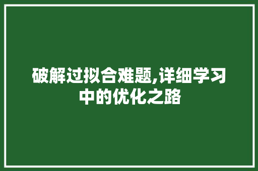 破解过拟合难题,详细学习中的优化之路
