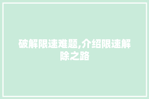 破解限速难题,介绍限速解除之路 电脑配置