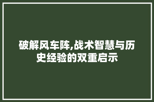 破解风车阵,战术智慧与历史经验的双重启示