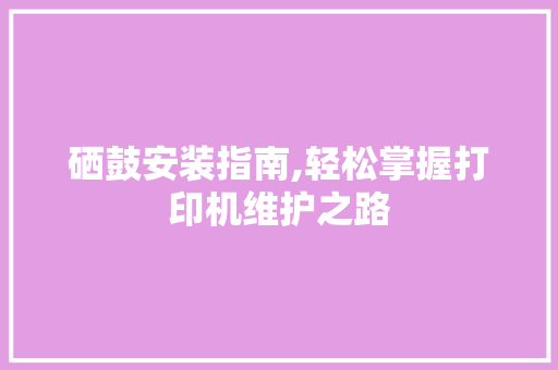 硒鼓安装指南,轻松掌握打印机维护之路