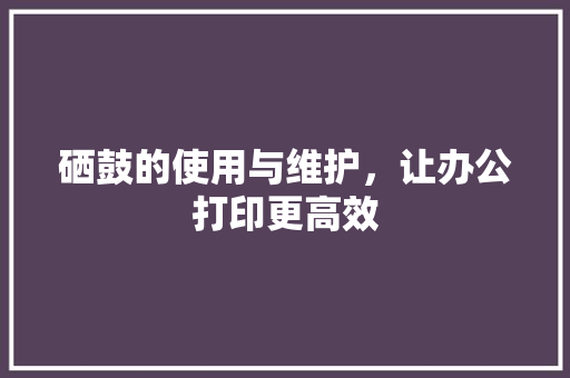 硒鼓的使用与维护，让办公打印更高效