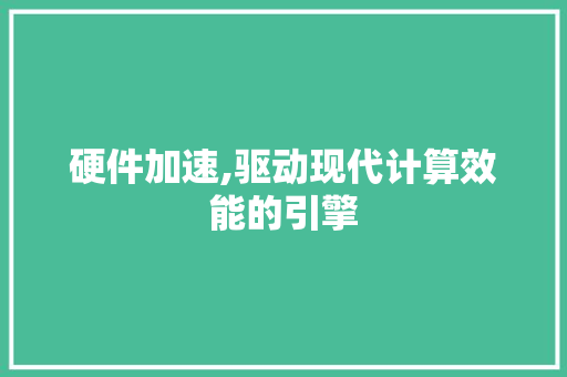 硬件加速,驱动现代计算效能的引擎