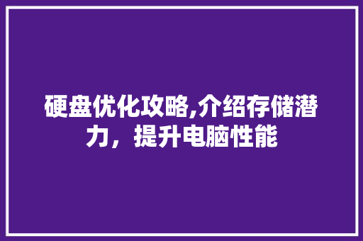 硬盘优化攻略,介绍存储潜力，提升电脑性能