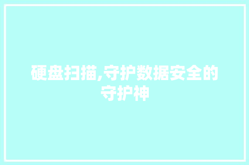 硬盘扫描,守护数据安全的守护神