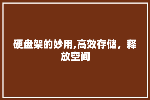 硬盘架的妙用,高效存储，释放空间
