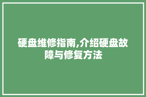 硬盘维修指南,介绍硬盘故障与修复方法