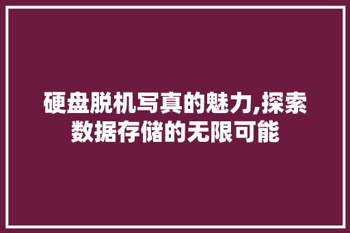 硬盘脱机写真的魅力,探索数据存储的无限可能 硬盘脱机写真的魅力,探索数据存储的无限可能