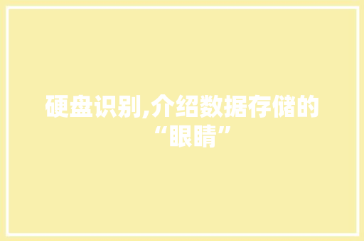硬盘识别,介绍数据存储的“眼睛”