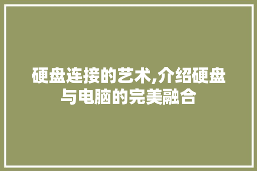 硬盘连接的艺术,介绍硬盘与电脑的完美融合