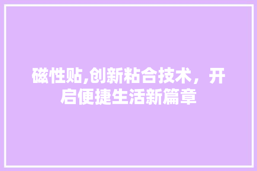 磁性贴,创新粘合技术，开启便捷生活新篇章