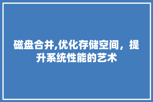 磁盘合并,优化存储空间，提升系统性能的艺术