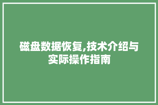 磁盘数据恢复,技术介绍与实际操作指南