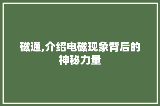 磁通,介绍电磁现象背后的神秘力量