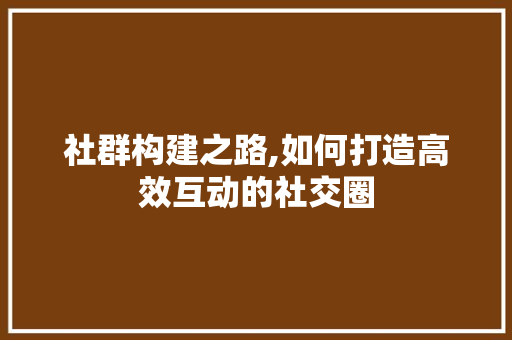 社群构建之路,如何打造高效互动的社交圈
