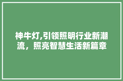 神牛灯,引领照明行业新潮流，照亮智慧生活新篇章