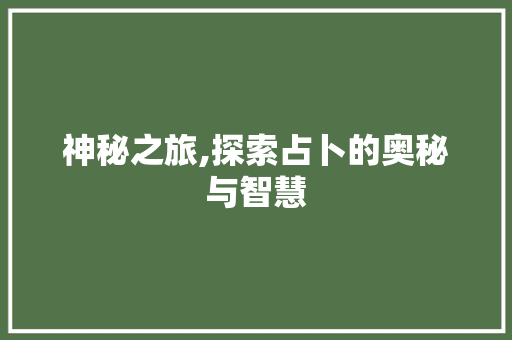 神秘之旅,探索占卜的奥秘与智慧