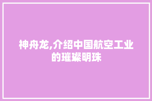 神舟龙,介绍中国航空工业的璀璨明珠