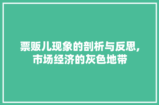 票贩儿现象的剖析与反思,市场经济的灰色地带