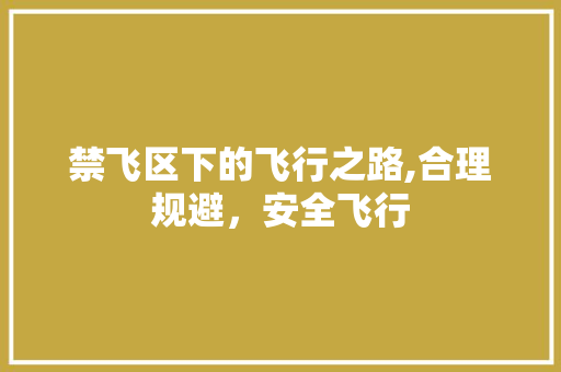 禁飞区下的飞行之路,合理规避，安全飞行