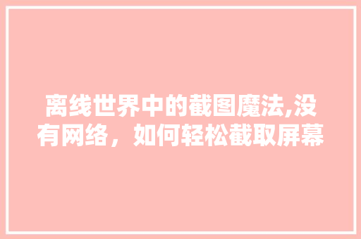 离线世界中的截图魔法,没有网络，如何轻松截取屏幕内容