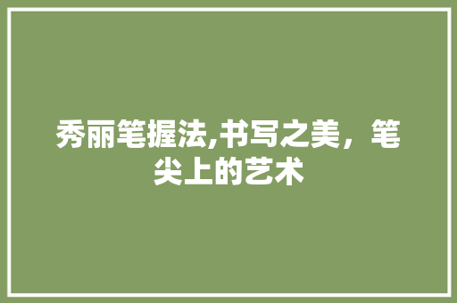 秀丽笔握法,书写之美，笔尖上的艺术