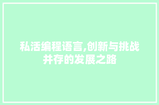 私活编程语言,创新与挑战并存的发展之路