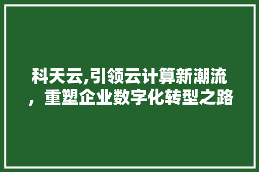 科天云,引领云计算新潮流，重塑企业数字化转型之路