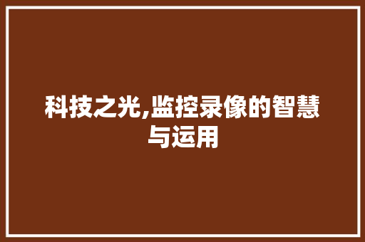 科技之光,监控录像的智慧与运用