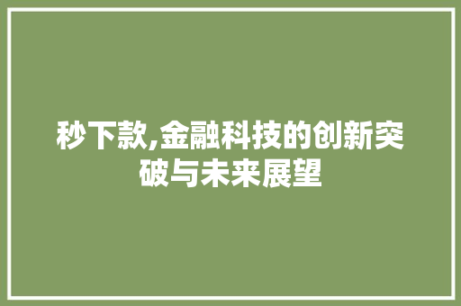 秒下款,金融科技的创新突破与未来展望